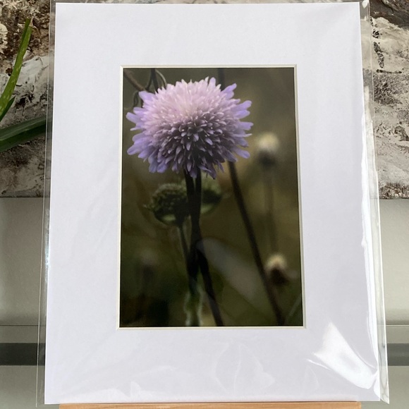 “TALL, DARK & HANDSOME” ~ ORIGINAL ART by ~ @lisamichellebeckerphotography - Picture 13 of 13